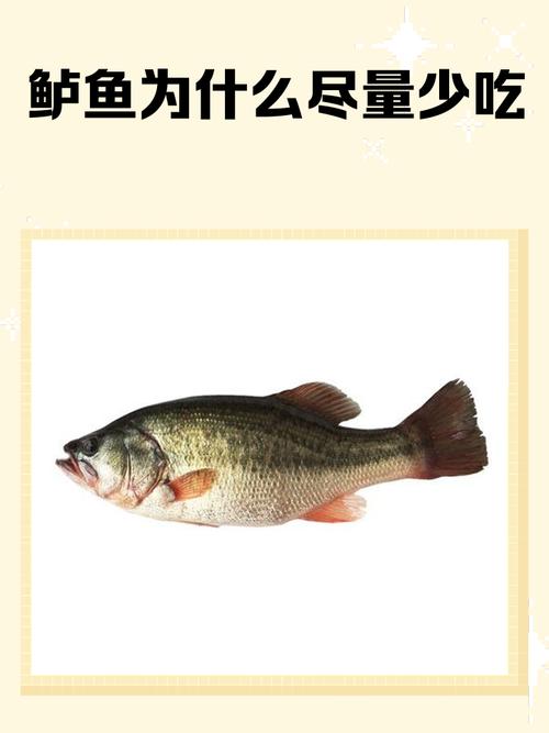 免鱼是不是要少