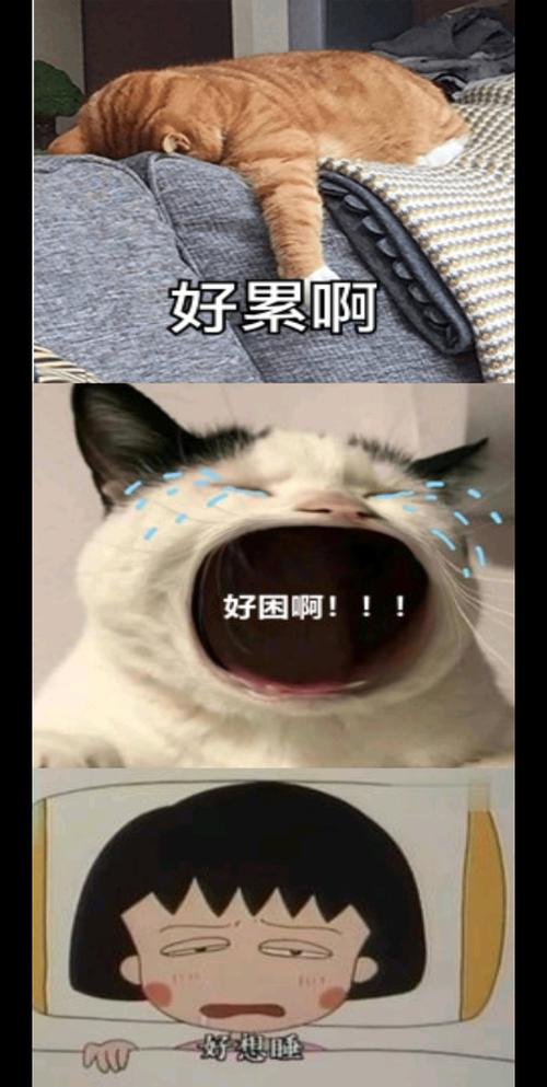 男生说累了想睡觉