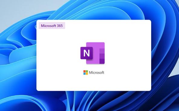 Microsoft Office InfoPath