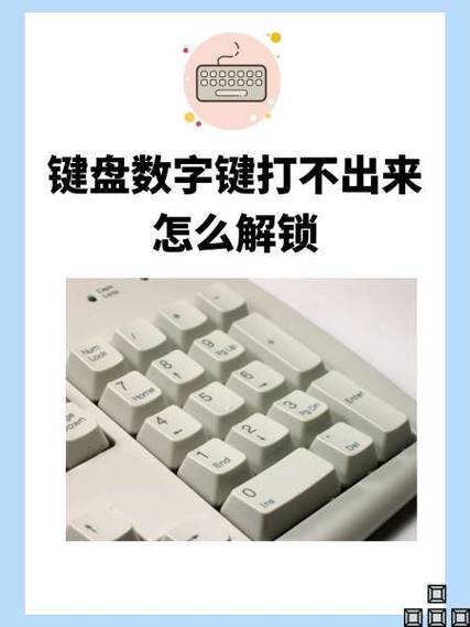键盘无法输入密码打不开桌面