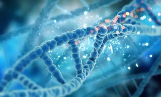 DNA-Androidgithub