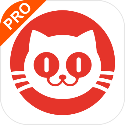 猫眼极速版是什么意思