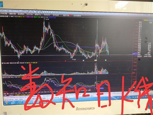 数知科技股票股吧