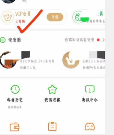 爱奇艺会员号在哪里查看