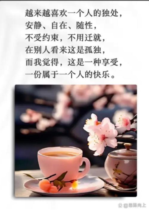 自己安静的说说