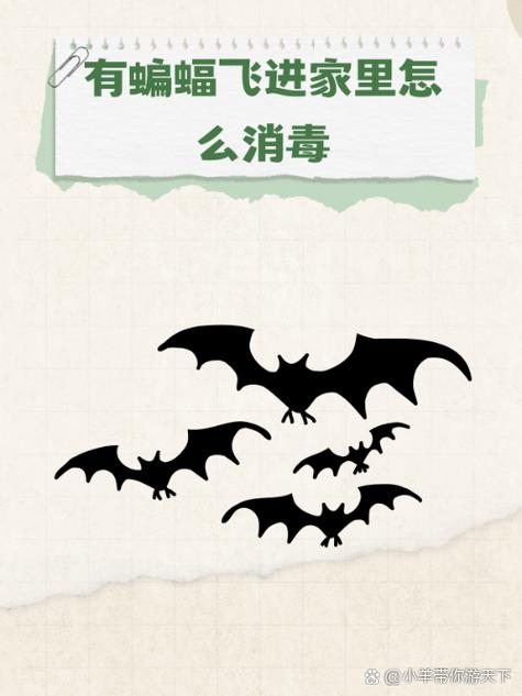 蝙蝠有毒吗?飞家里怎么办