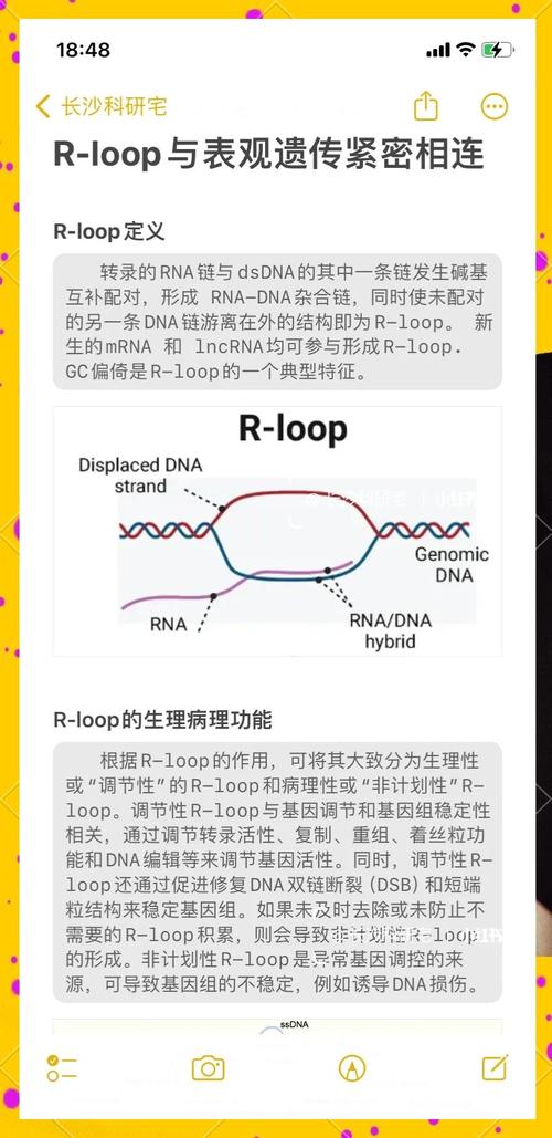 lor医学上是什么意思截图3