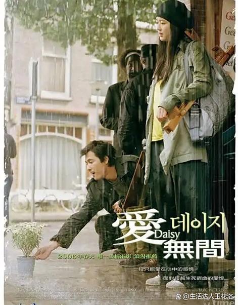 电影雏菊两个版本的不同