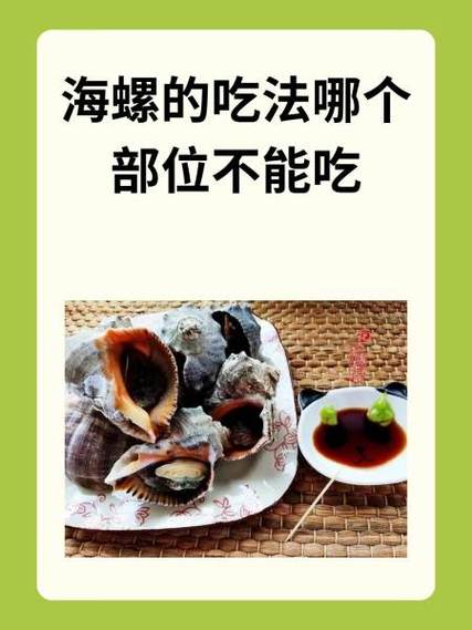 海螺不能吃部位详解图视频