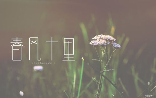 春风十里唱出什么意义