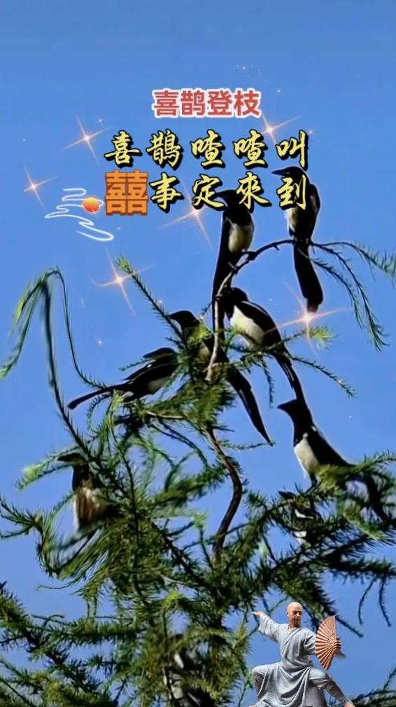 喜鹊到家来了,预示着什么截图3