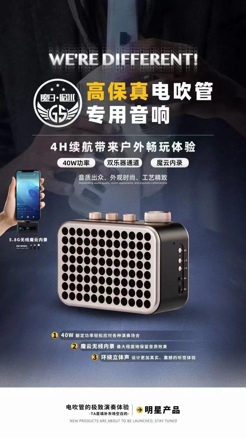 电吹管配置音箱什么牌子好?