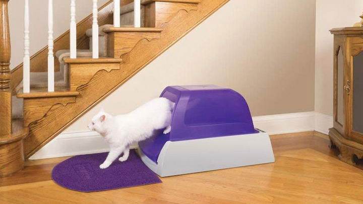 猫砂盆位置