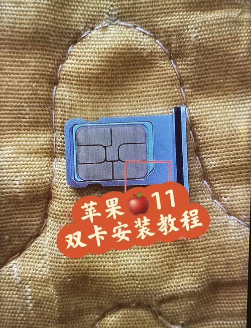 iPhone11几个卡