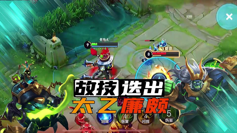 鸟哥最新王者视频