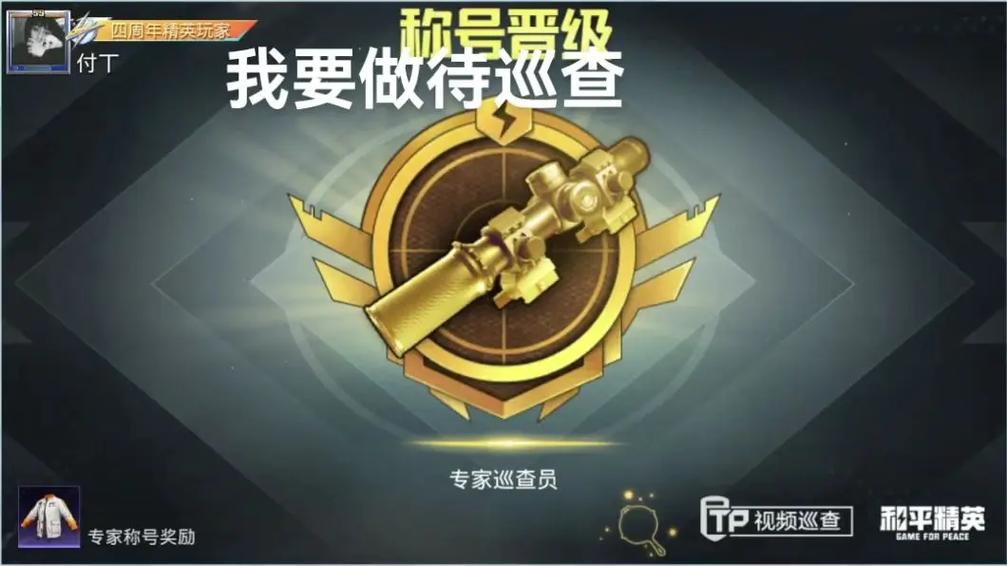 和平精英巡查技巧