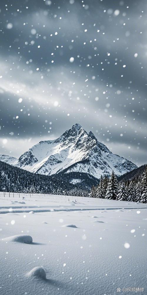 冰封雪地的心情