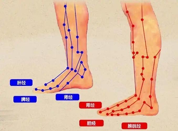 大唐激活几个经脉可以四扫