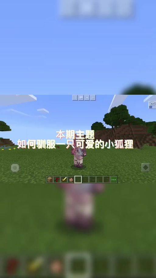 怎么驯化狐狸我的世界