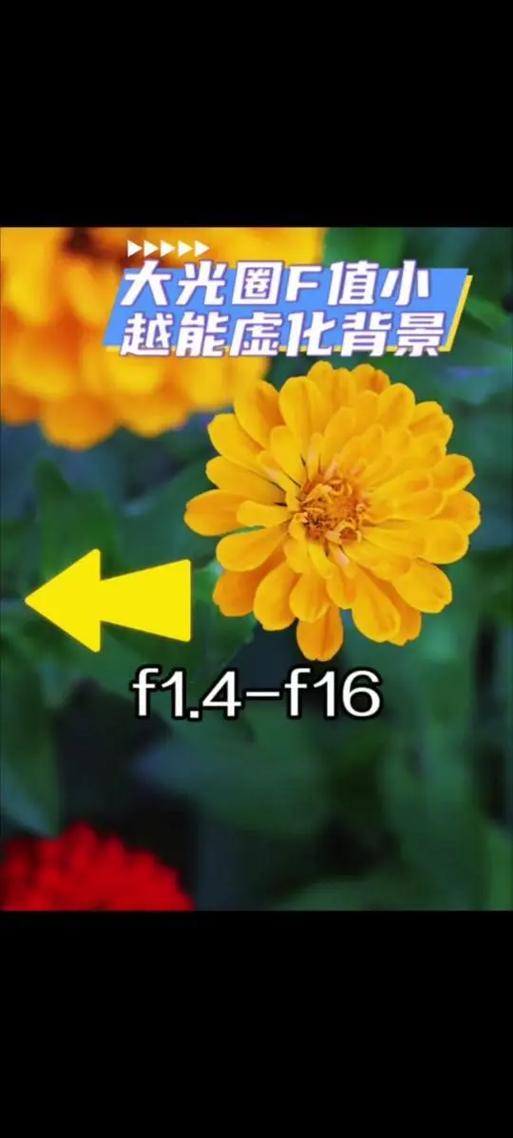背景虚化f值多少比较好