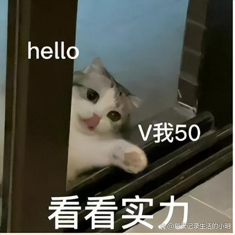v我50这个梗哪里来的