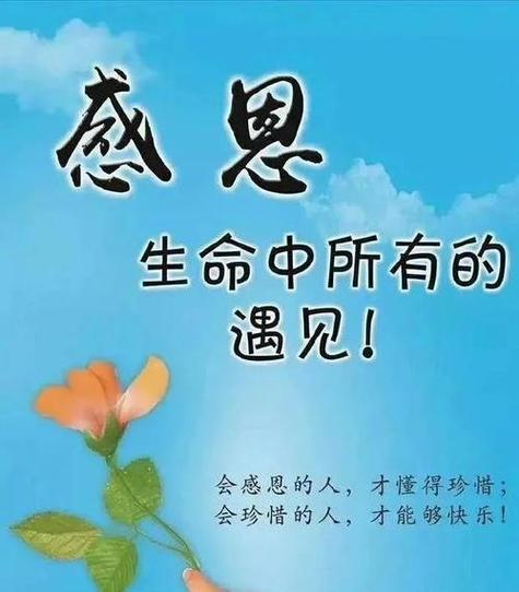 感恩是什么意思