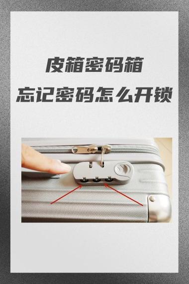 皮箱开锁密码教程