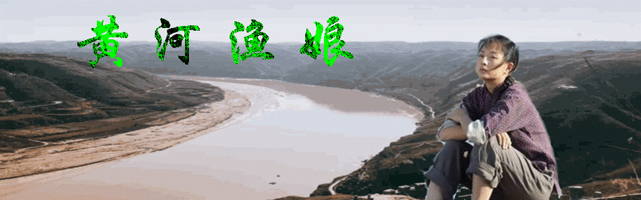 黄河渔娘歌词