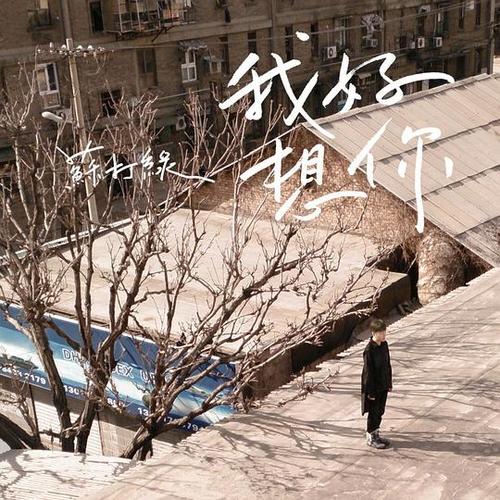 歌曲我好想你原唱