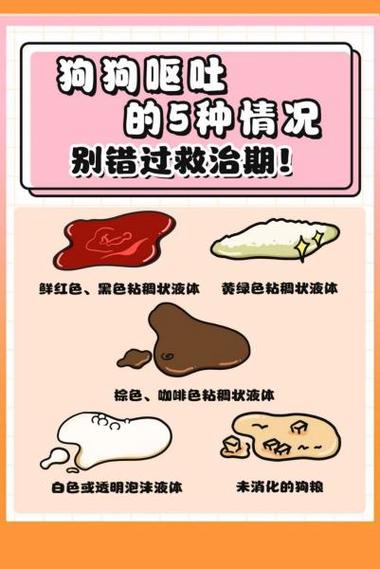 狗狗吃啥吐啥是什么原因