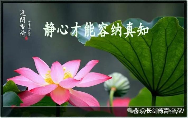 看淡,心静,积极的文案