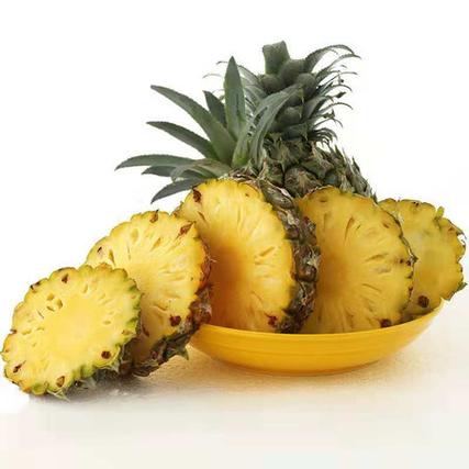 迷你小菠萝
