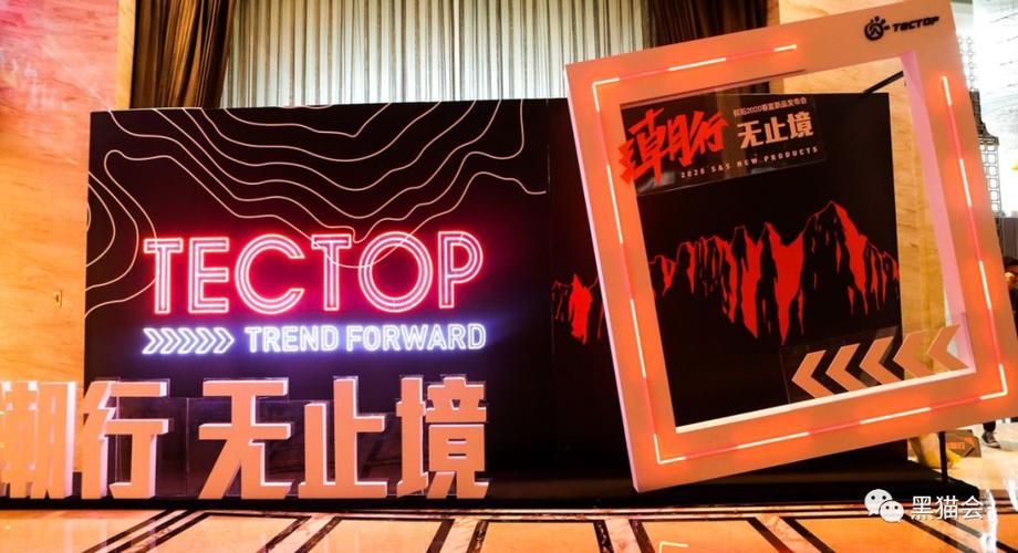 职场dp是什么意思