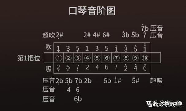 学吹口琴入门教程截图3