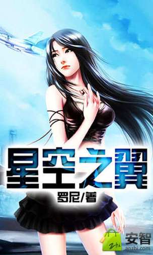 星空之翼小说