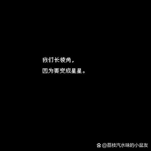 黑色背景然后依次出字的视频