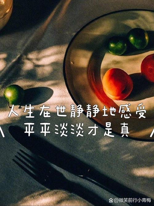 平淡生活的正确解释