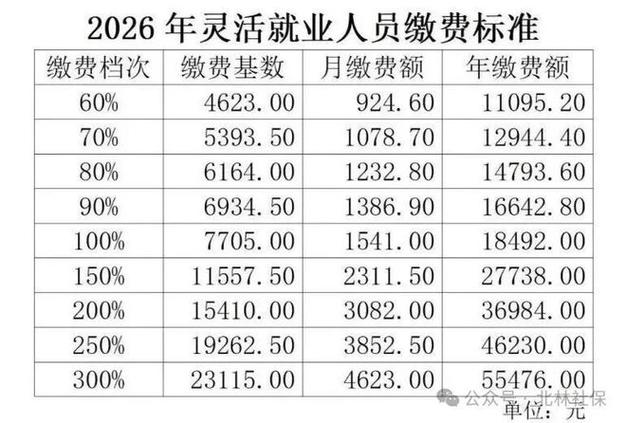 2026缴费档次明细