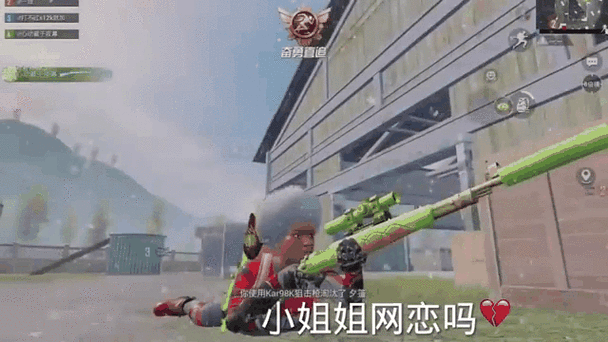 和平精英仙鹤露手视频
