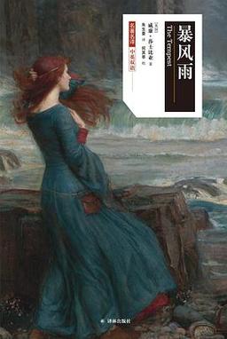 暴风雨在线阅读