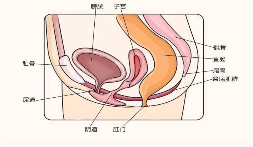 尿道口胀胀的不舒服