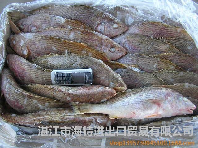 白免鱼