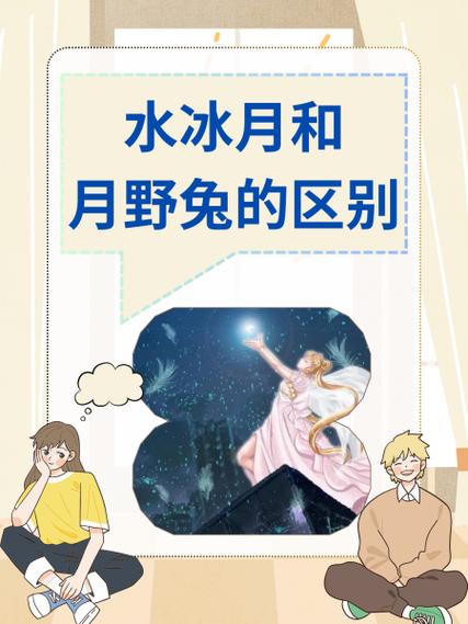 月野兔性格