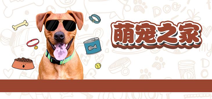 萌宠之家租号