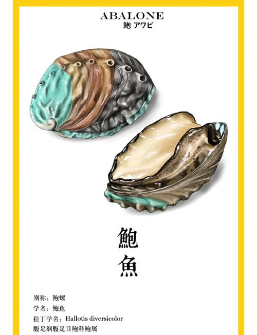 有什么方法免费看鲍鱼漫画吗图标