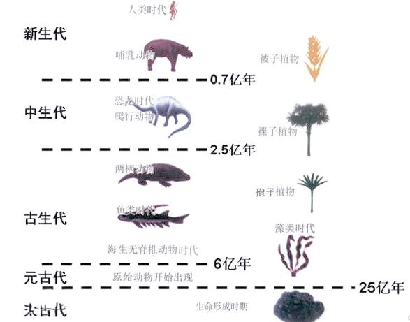地球上的生物进化史