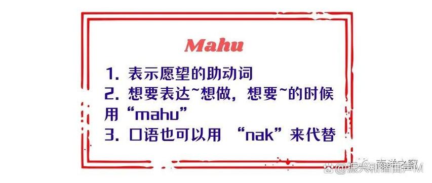 saya什么语言