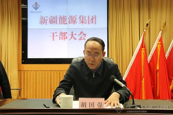 伊能集团董事长背景