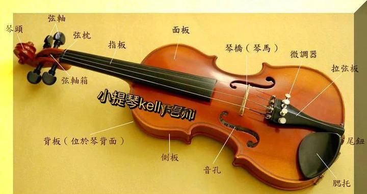 小提琴琴柱掉了还能用吗