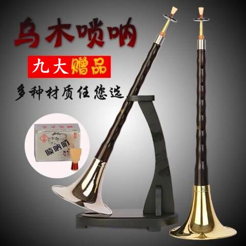 唢呐多少钱一支入门